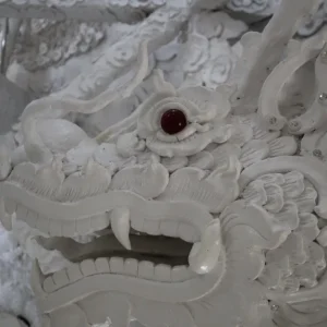 IMG_5970 IMG_5970