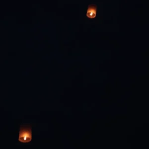 IMG_5993 IMG_5993