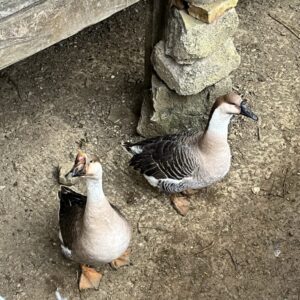 IMG_2041 IMG_2041
