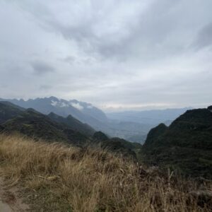 IMG_2120 IMG_2120