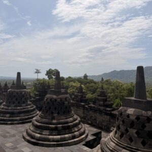 IMG_3611 IMG_3611
