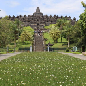 IMG_6423 IMG_6423