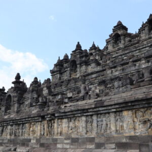 IMG_6431 IMG_6431