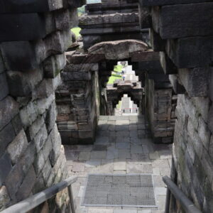 IMG_6455 IMG_6455
