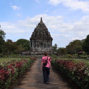 IMG_6503 IMG_6503