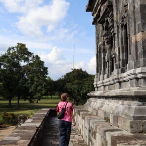 IMG_6505 IMG_6505