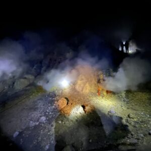 IMG_2527 IMG_2527