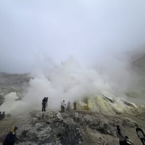 IMG_3909 IMG_3909