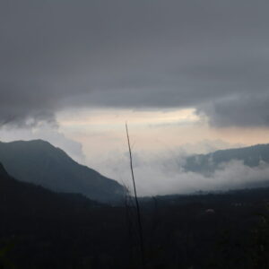 IMG_6578 IMG_6578