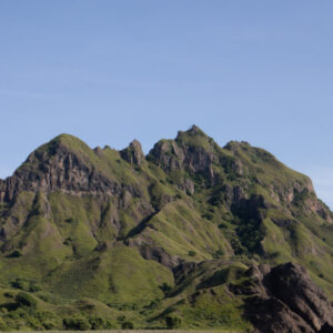 IMG_6737 IMG_6737