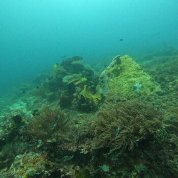 DCIM102GOPROGOPR2521.JPG DCIM102GOPROGOPR2521.JPG