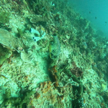 DCIM102GOPROGOPR2552.JPG DCIM102GOPROGOPR2552.JPG