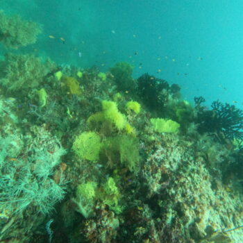 DCIM102GOPROGOPR2580.JPG DCIM102GOPROGOPR2580.JPG