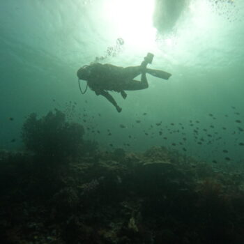 DCIM102GOPROGOPR2601.JPG DCIM102GOPROGOPR2601.JPG
