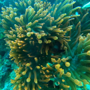 DCIM102GOPROGOPR2607.JPG DCIM102GOPROGOPR2607.JPG