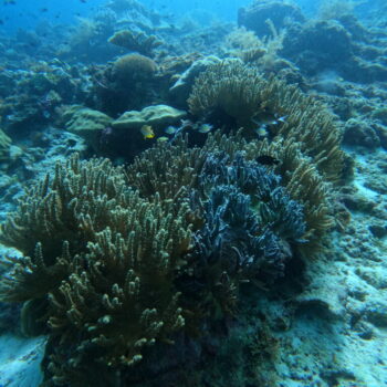DCIM102GOPROGOPR2610.JPG DCIM102GOPROGOPR2610.JPG