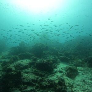DCIM102GOPROGOPR2627.JPG