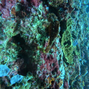 DCIM102GOPROGOPR2728.JPG DCIM102GOPROGOPR2728.JPG
