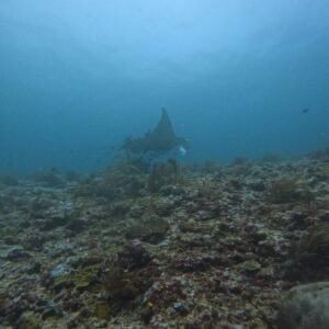 DCIM102GOPROGOPR2755.JPG DCIM102GOPROGOPR2755.JPG