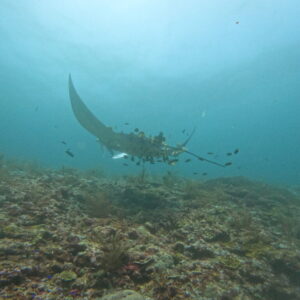 DCIM102GOPROGOPR2766.JPG DCIM102GOPROGOPR2766.JPG