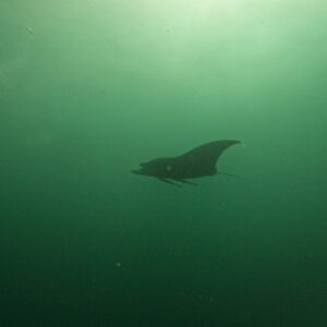 DCIM102GOPROGOPR2778.JPG DCIM102GOPROGOPR2778.JPG