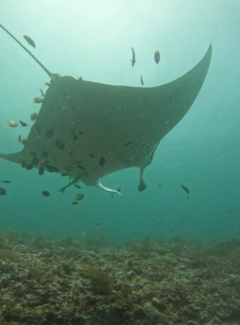 DCIM102GOPROGOPR2807.JPG