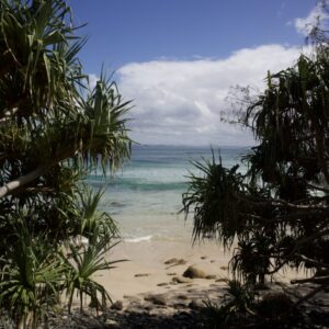 IMG_6838 IMG_6838