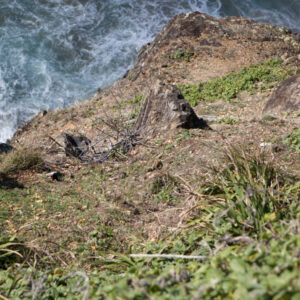 IMG_6851 IMG_6851