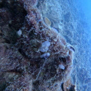 DCIM102GOPROGOPR3247.JPG DCIM102GOPROGOPR3247.JPG