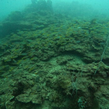 DCIM102GOPROGOPR3254.JPG DCIM102GOPROGOPR3254.JPG