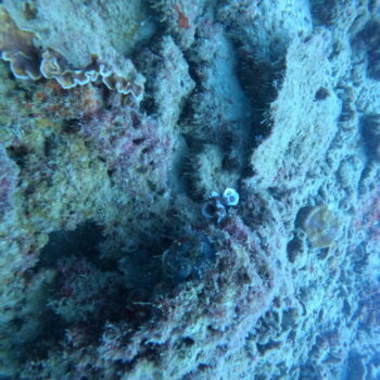 DCIM102GOPROGOPR3257.JPG DCIM102GOPROGOPR3257.JPG