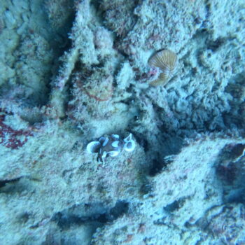 DCIM102GOPROGOPR3259.JPG DCIM102GOPROGOPR3259.JPG