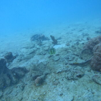 DCIM102GOPROGOPR3264.JPG DCIM102GOPROGOPR3264.JPG