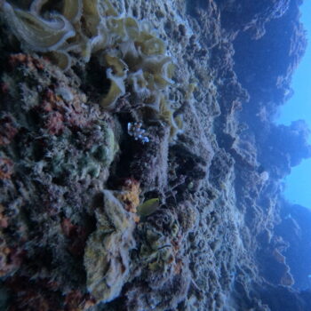 DCIM102GOPROGOPR3269.JPG DCIM102GOPROGOPR3269.JPG