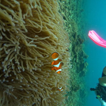 DCIM102GOPROGOPR3279.JPG DCIM102GOPROGOPR3279.JPG