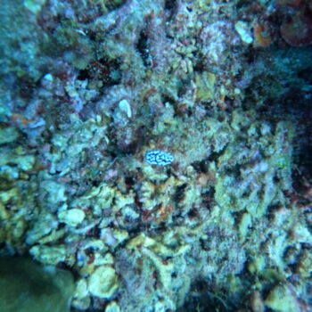 DCIM102GOPROGOPR3285.JPG DCIM102GOPROGOPR3285.JPG