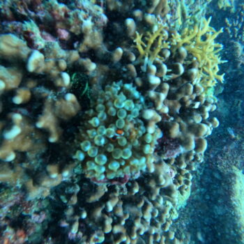 DCIM102GOPROGOPR3287.JPG DCIM102GOPROGOPR3287.JPG