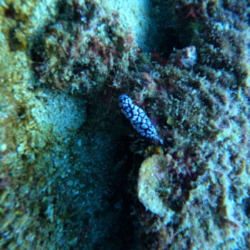 DCIM102GOPROGOPR3290.JPG DCIM102GOPROGOPR3290.JPG
