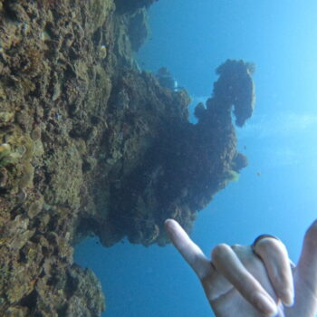 DCIM102GOPROGOPR3291.JPG DCIM102GOPROGOPR3291.JPG