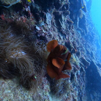 DCIM102GOPROGOPR3293.JPG DCIM102GOPROGOPR3293.JPG