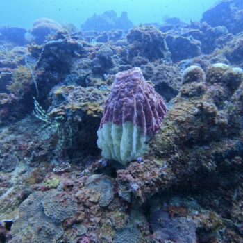 DCIM102GOPROGOPR3296.JPG DCIM102GOPROGOPR3296.JPG