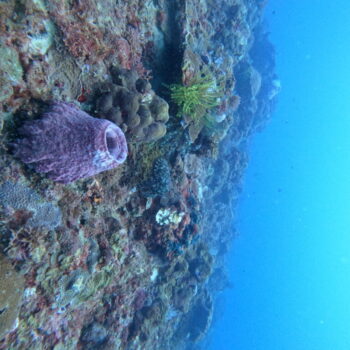 DCIM102GOPROGOPR3300.JPG DCIM102GOPROGOPR3300.JPG