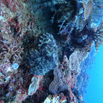 DCIM102GOPROGOPR3302.JPG DCIM102GOPROGOPR3302.JPG