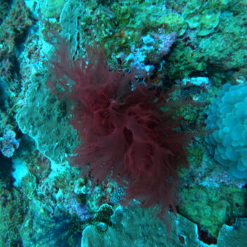 DCIM102GOPROGOPR3304.JPG DCIM102GOPROGOPR3304.JPG