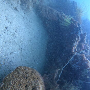 DCIM102GOPROGOPR3307.JPG DCIM102GOPROGOPR3307.JPG