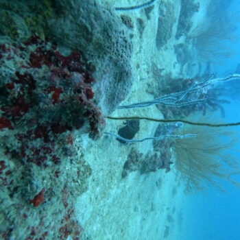 DCIM102GOPROGOPR3318.JPG DCIM102GOPROGOPR3318.JPG