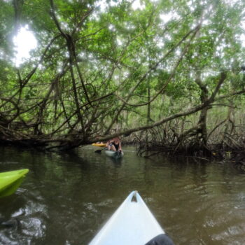 DCIM102GOPROGOPR3359.JPG DCIM102GOPROGOPR3359.JPG