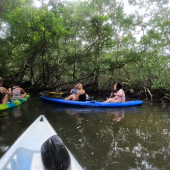 DCIM102GOPROGOPR3361.JPG DCIM102GOPROGOPR3361.JPG