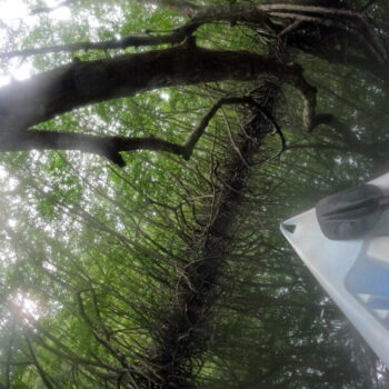 DCIM102GOPROGOPR3373.JPG DCIM102GOPROGOPR3373.JPG