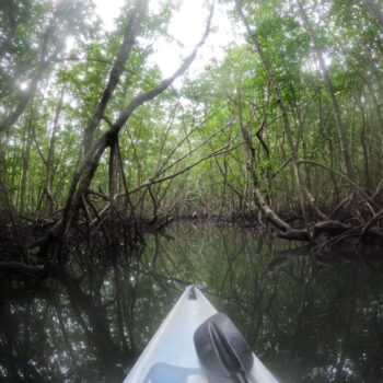 DCIM102GOPROGOPR3375.JPG DCIM102GOPROGOPR3375.JPG